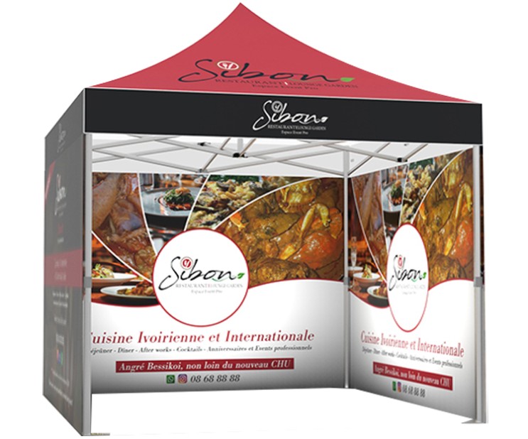 10 X 10ft Branded Canopy Tent Pkg 4