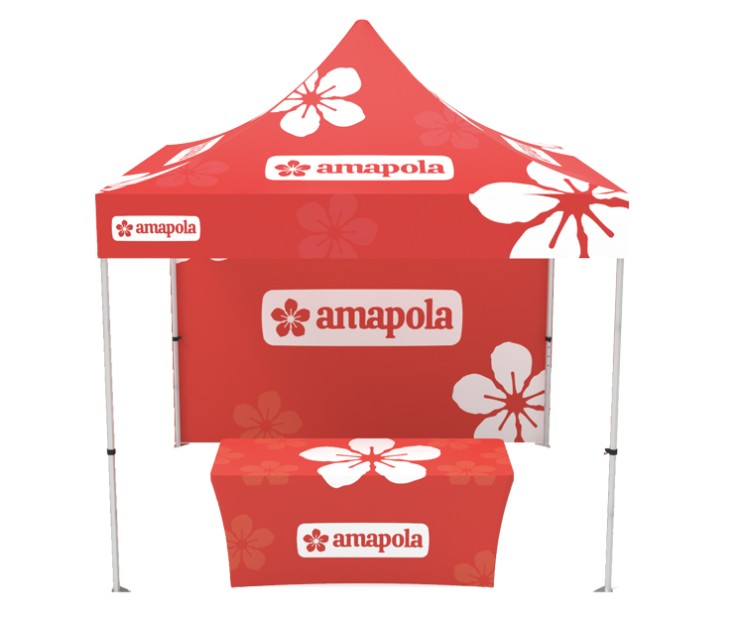 10 x 10ft Branded Canopy Tent Pkg 6